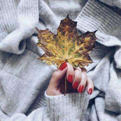 凯发游戏app下载